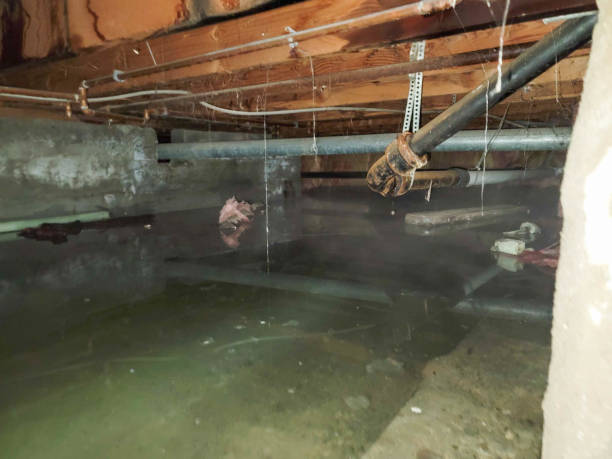 Best 24/7 water damage repair  in Tequesta, FL