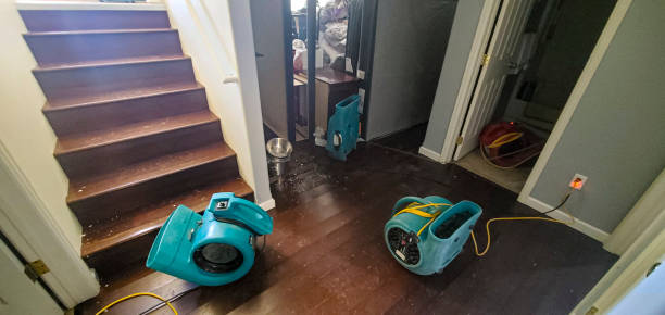 Best Water damage cleanup near me  in Tequesta, FL