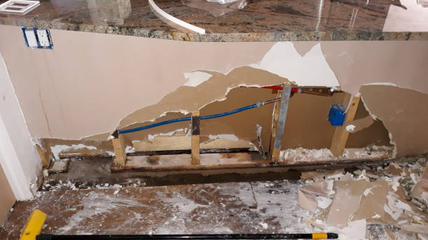 Best Carpet water damage restoration  in Tequesta, FL