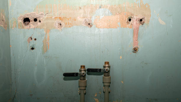 Best Local water damage restoration  in Tequesta, FL