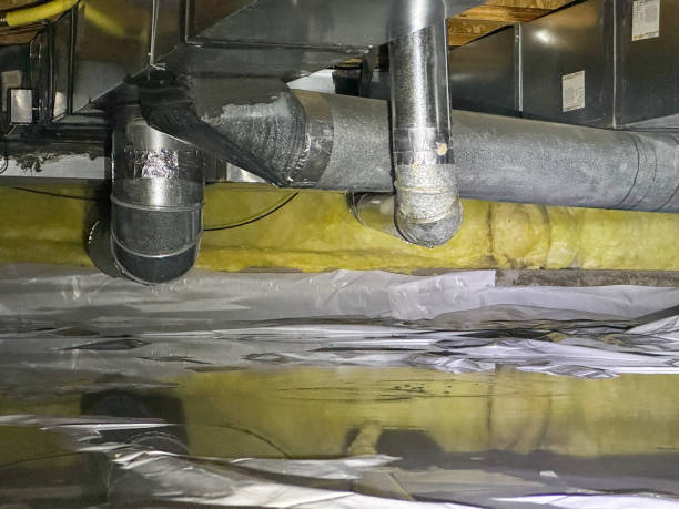 Best Water damage contractors near me  in Tequesta, FL