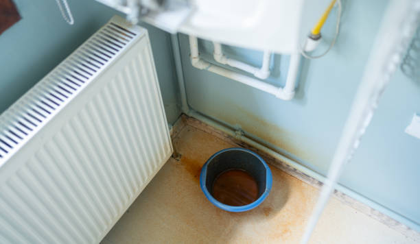 Best Basement water damage restoration  in Tequesta, FL