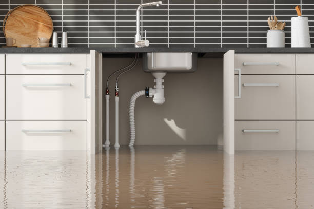 Best Ceiling water damage repair  in Tequesta, FL