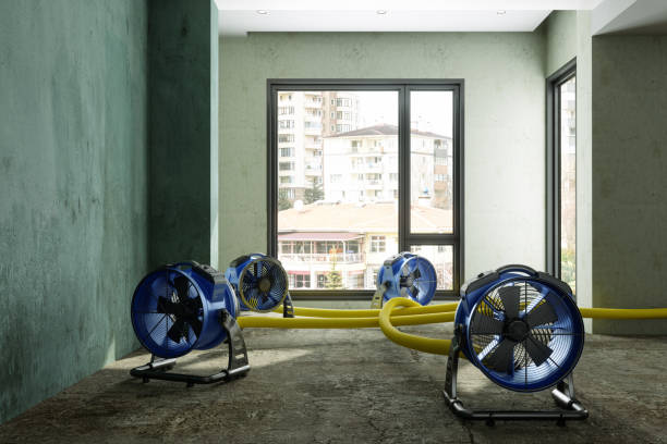 Best Water damage restoration mold remediation  in Tequesta, FL